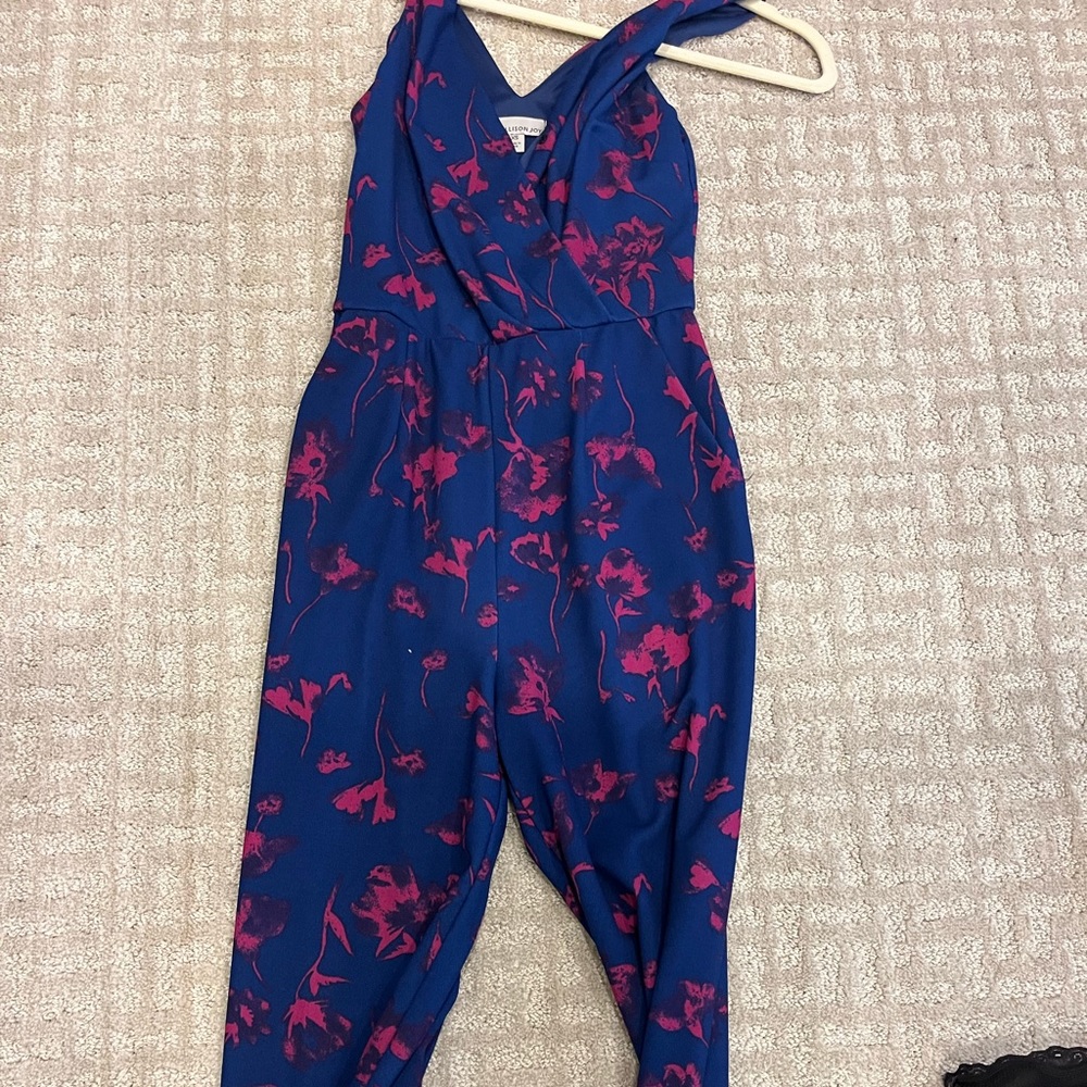 Allison joy jumpsuit from evereve worn 1x